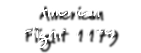 American Flight 1179