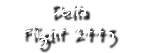 Delta Flight 2443