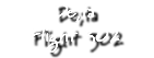 De;ta Flight 302